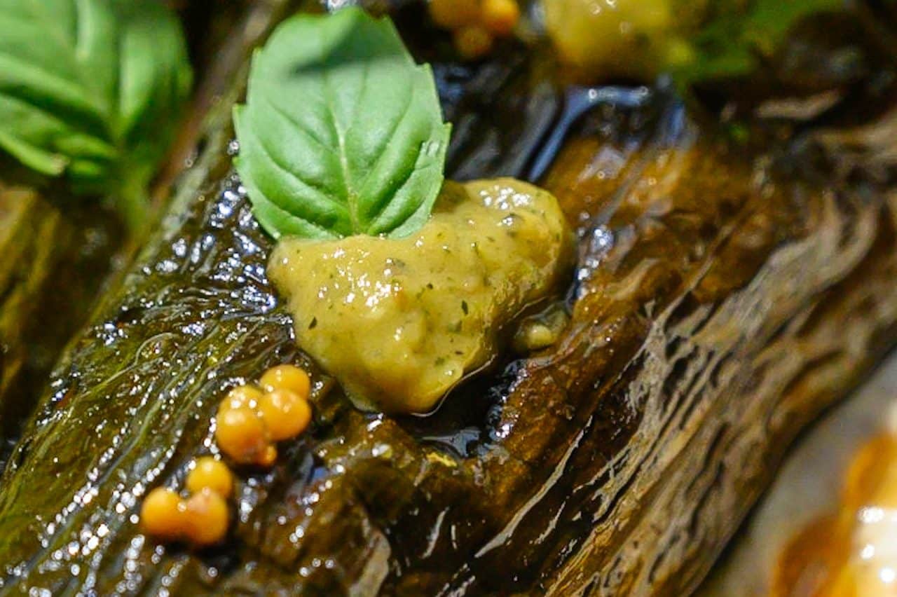 Condiment courgette olive taggiashe